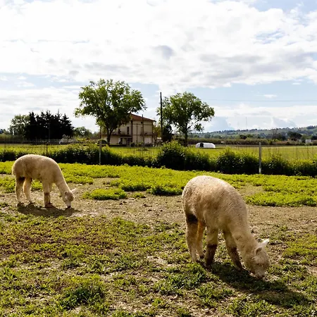 Bed & Breakfast La Luna Nel Pozzo